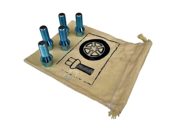 Set of dedicated screws (5 pieces)
